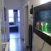 Lorong