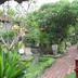 Pemandangan luar