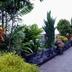 Pemandangan luar