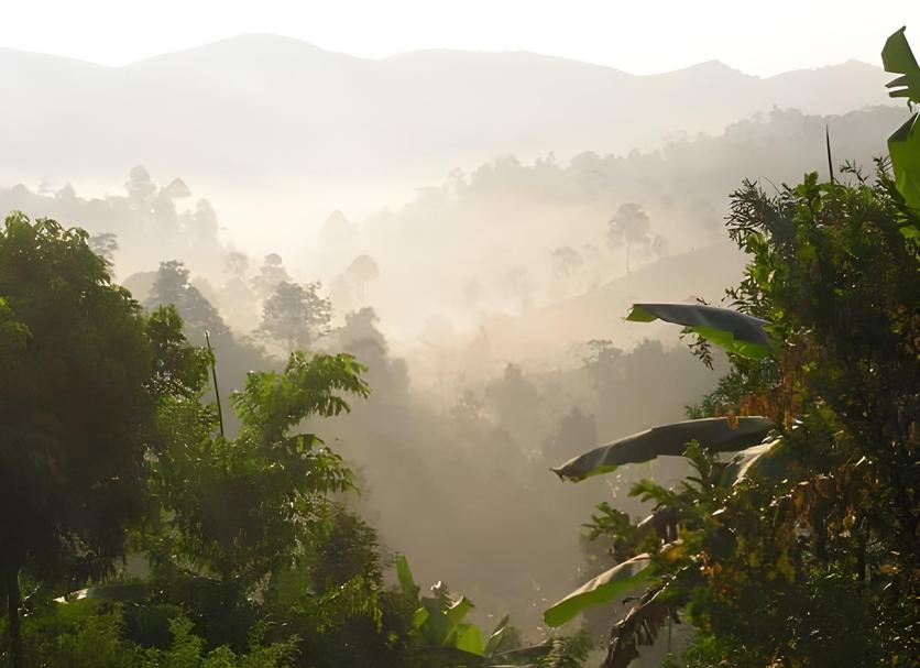 Pemandangan luar Foto