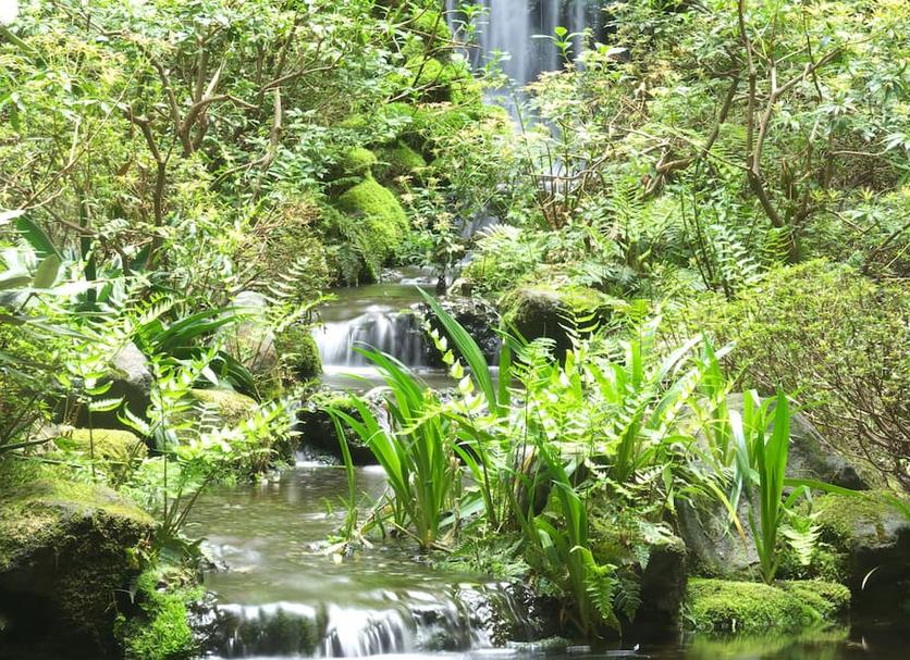 Pemandangan luar Foto