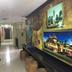 Lorong