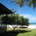 Pemandangan luar