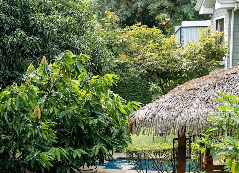 Pemandangan luar Foto