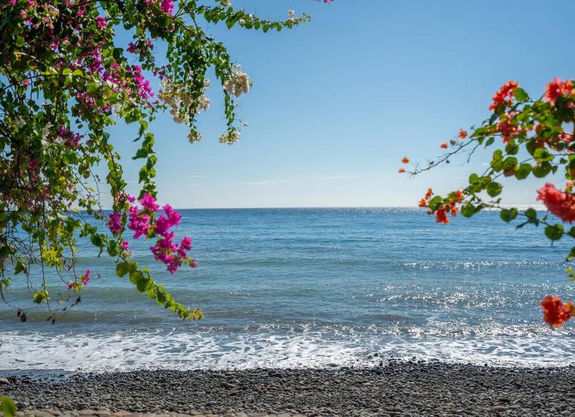 Pantai Foto