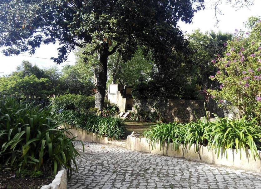 Pemandangan luar Foto