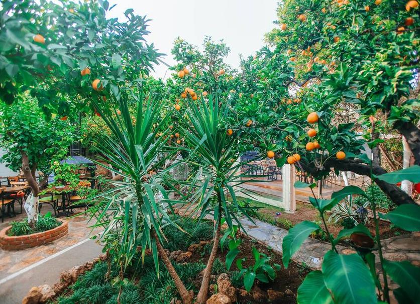 Pemandangan luar Foto