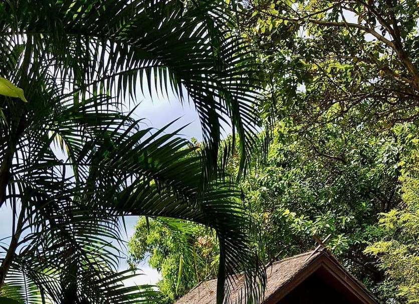 Pemandangan luar Foto