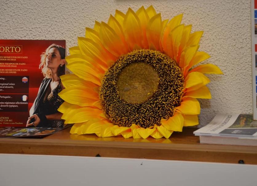 Lainnya Foto