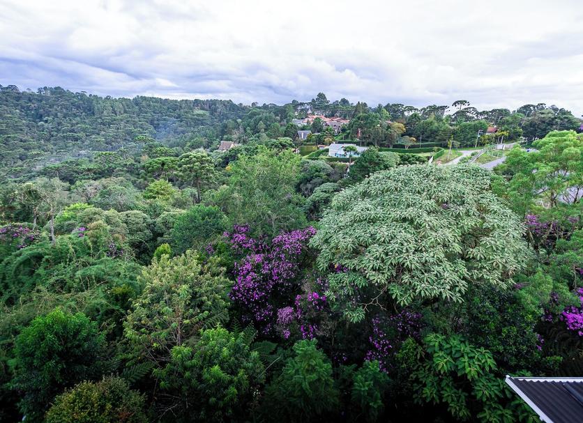 Pemandangan luar Foto