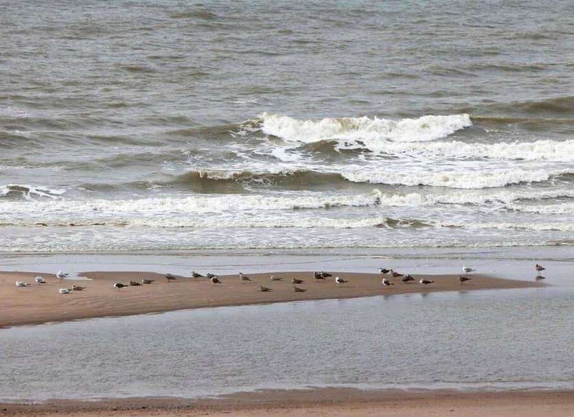 Pantai Foto