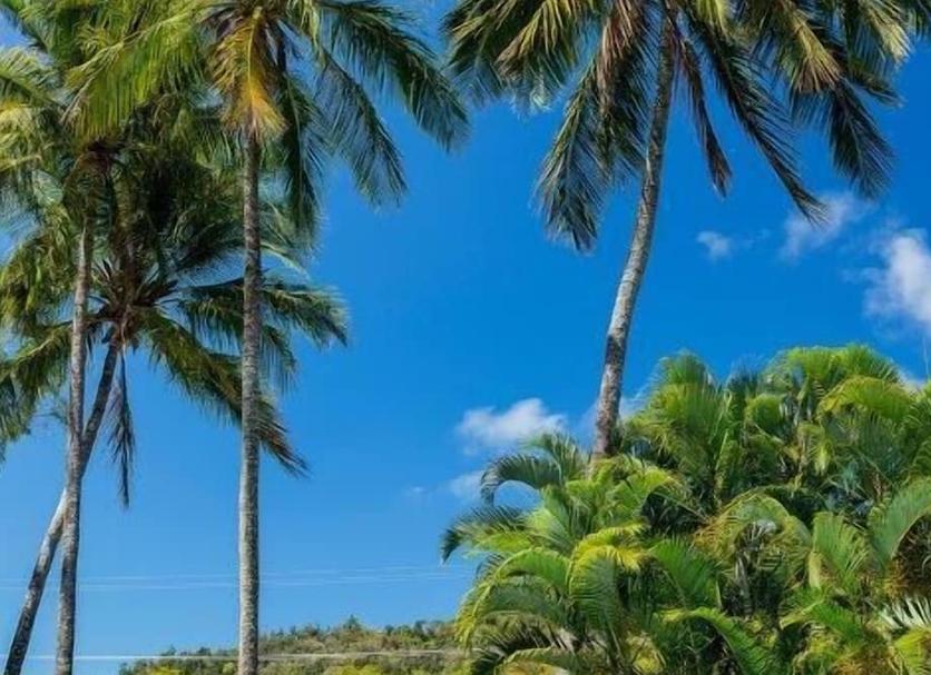 Pemandangan luar Foto