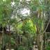 Pemandangan luar