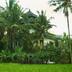 Pemandangan luar