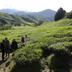 Pemandangan luar