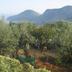 Pemandangan luar