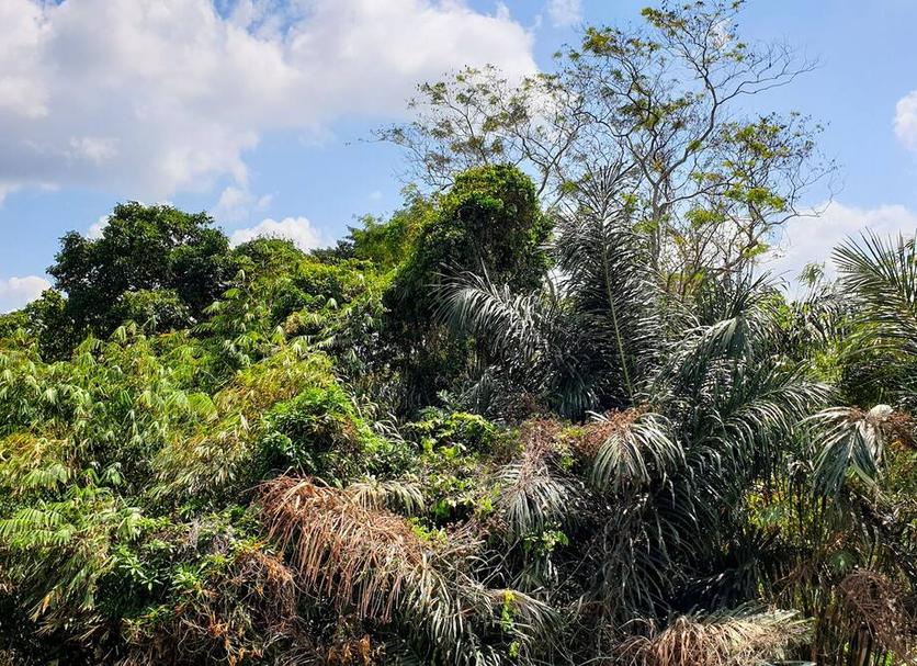 Pemandangan luar Foto