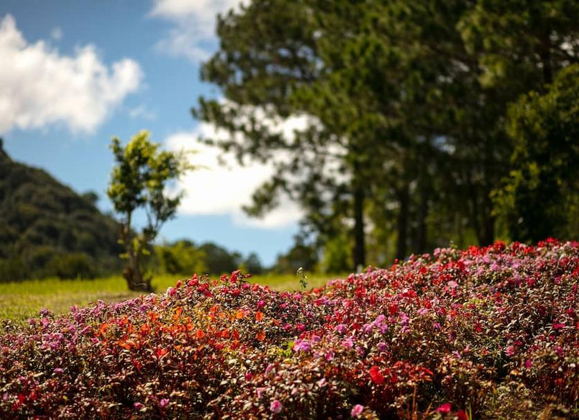 Pemandangan luar Foto