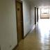 Lorong