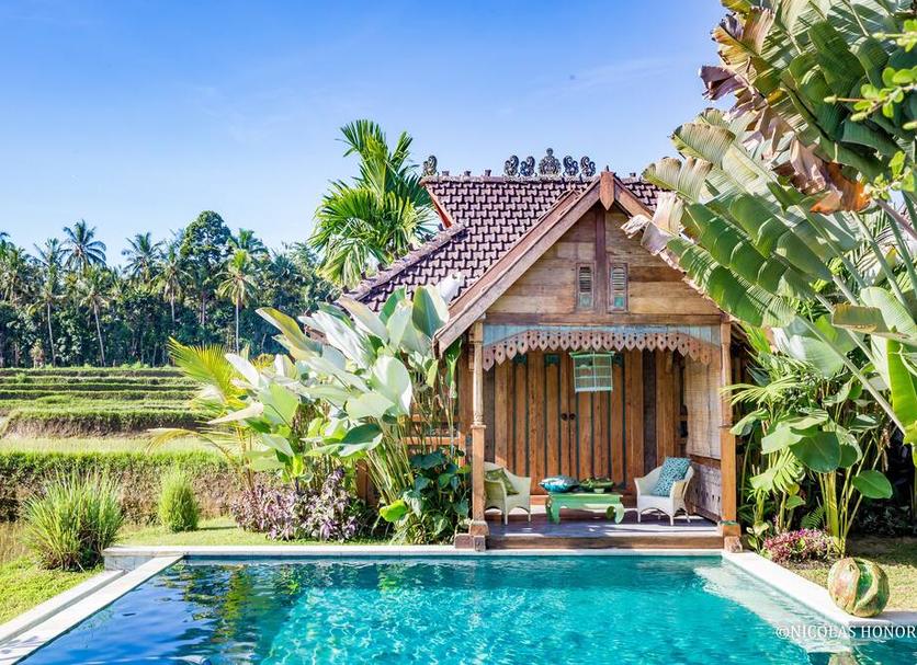 Kolam Foto