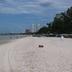 Pantai