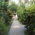 Pemandangan luar