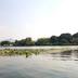 Pemandangan luar