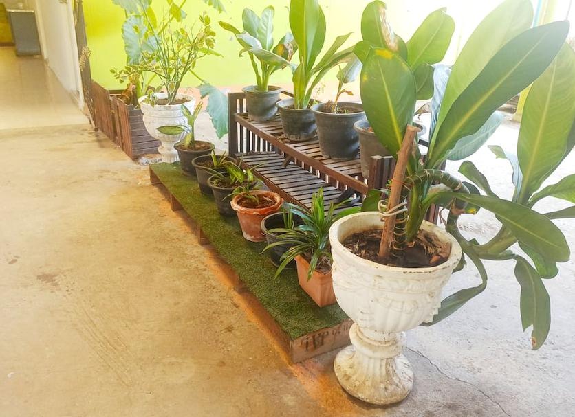 Pemandangan luar Foto