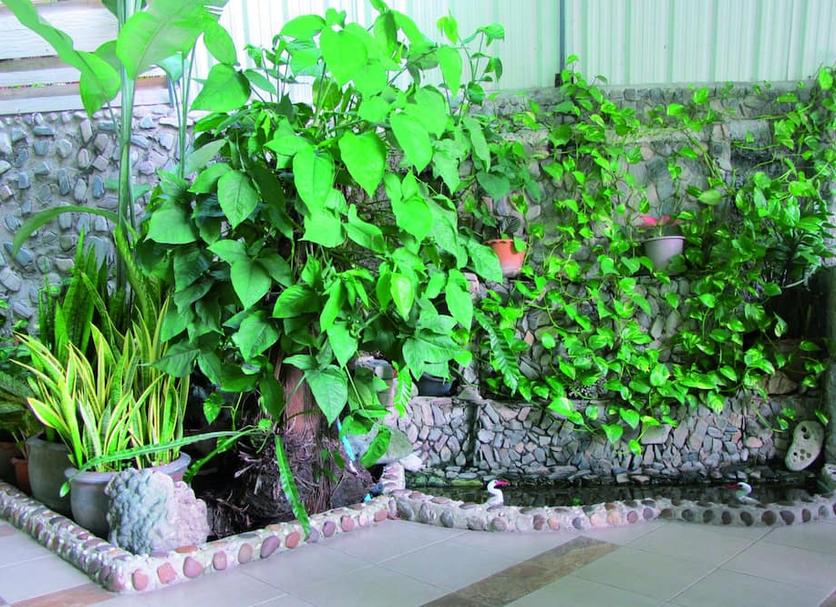 Pemandangan luar Foto