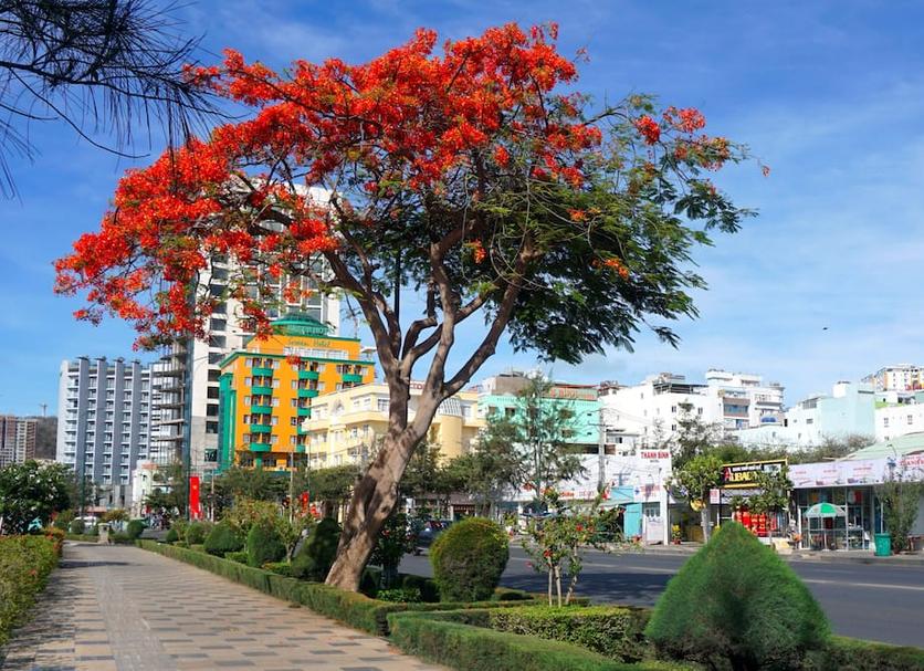 Pemandangan luar Foto
