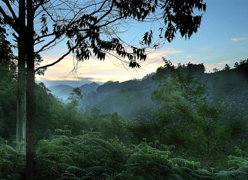 Pemandangan luar Foto