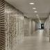 Lorong