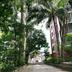Pemandangan luar