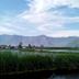 Pemandangan luar