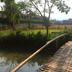Pemandangan luar