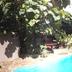 Kolam