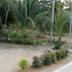 Pemandangan luar