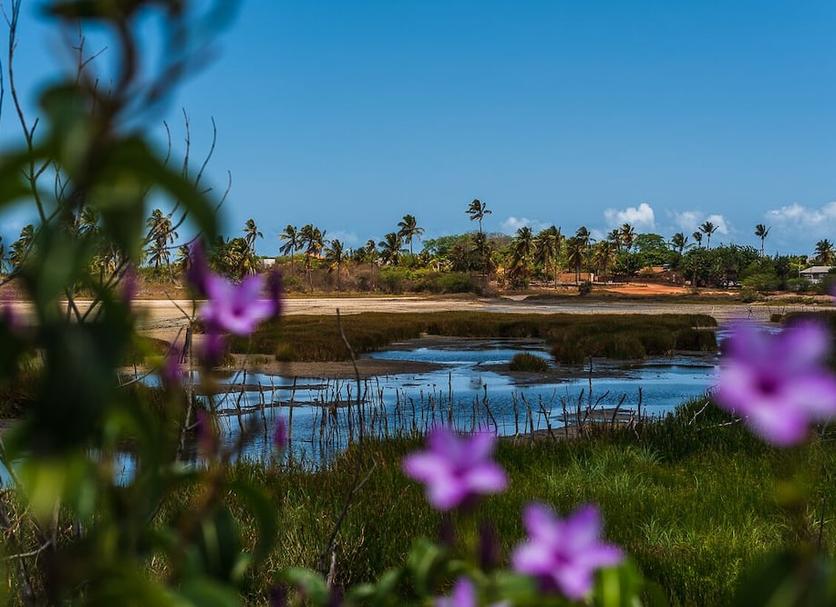 Pemandangan luar Foto