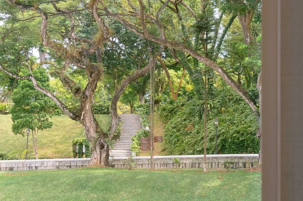 Pemandangan luar