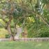 Pemandangan luar