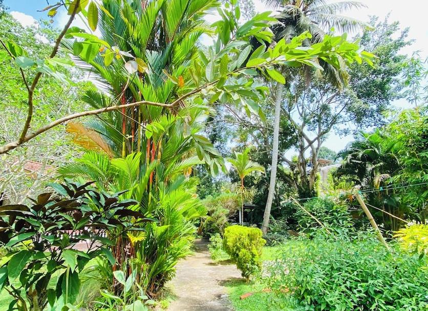 Pemandangan luar Foto