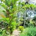 Pemandangan luar