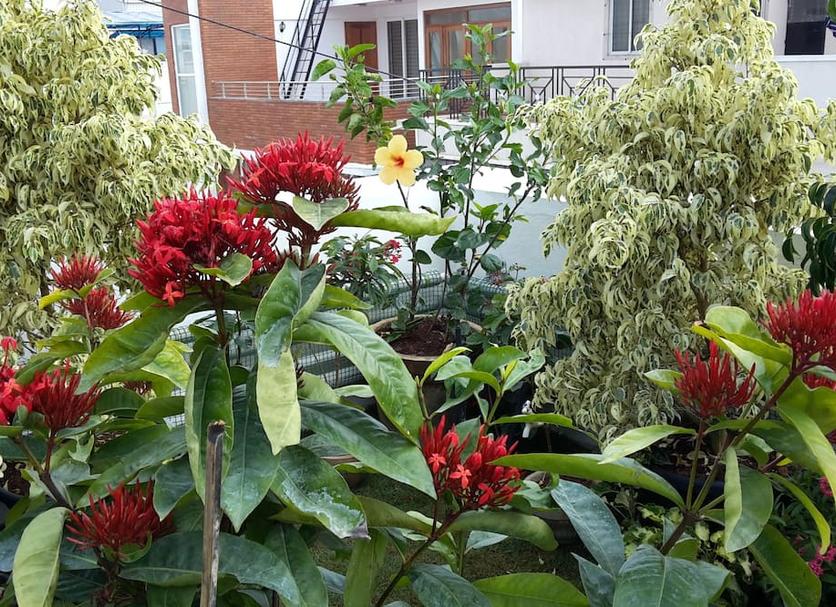 Pemandangan luar Foto