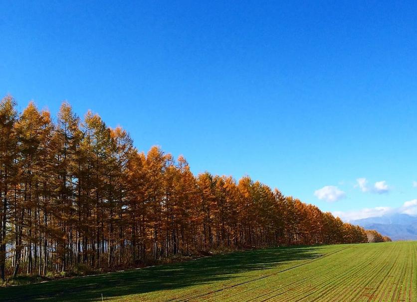 Pemandangan luar Foto