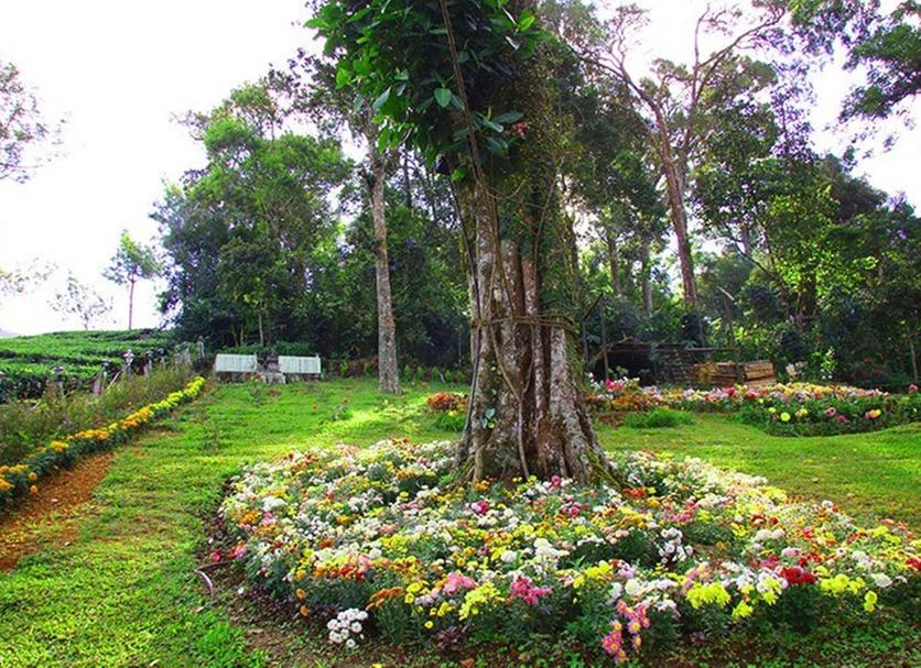 Pemandangan luar Foto