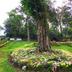Pemandangan luar