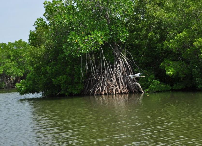 Pemandangan luar Foto