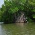 Pemandangan luar