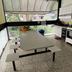Dapur