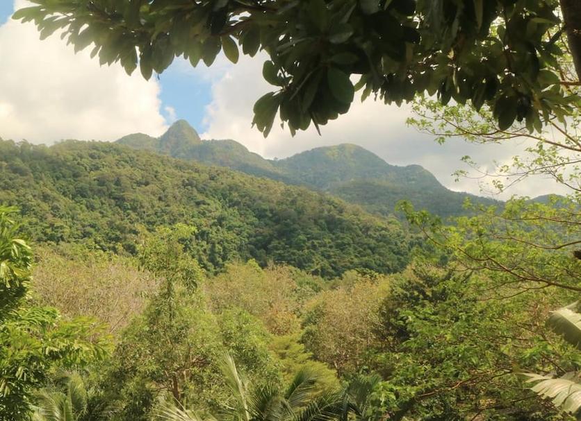 Pemandangan luar Foto